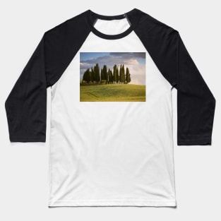 Group of cypress trees in Tuscan landscape Baseball T-Shirt